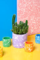 You added <b><u>At Home: Terrazzo Plant Pot Kit - out of stock</u></b> to your cart.