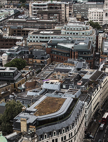 BLOG: Explore Architechture in London with Harry Molyneux, CEO of Buildupp