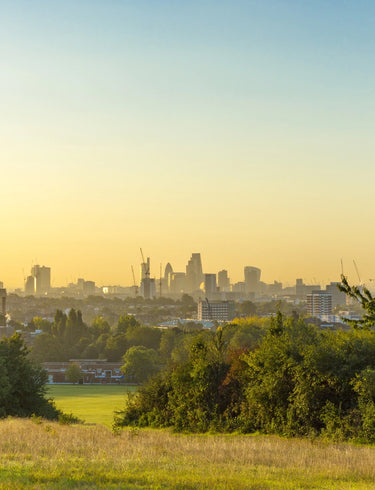 Where to Forage in London