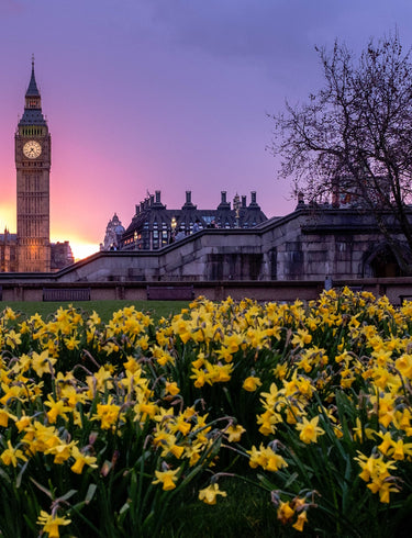 The Ultimate Guide to London Experiences