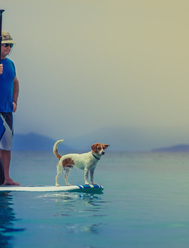 Paddleboarding - Will it Float Your Boat?