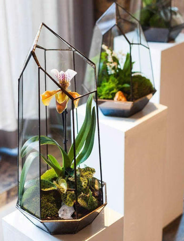 The Indytute Experience: Crafting Ecosystems in Glass – A Journey into Terrarium Making