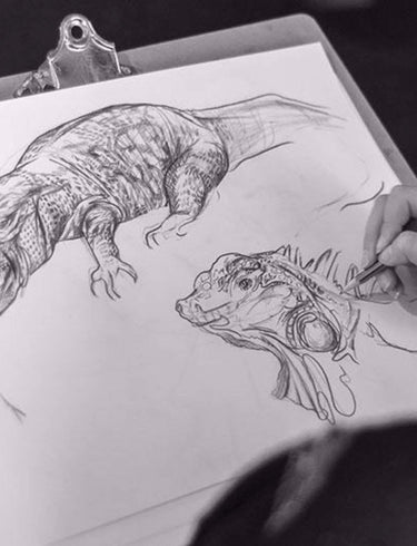 Wild Life Drawing