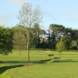 Charcuterie and Golf (near Bray)