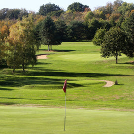 Charcuterie and Golf (near Bray)