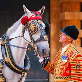 Entrance to The Royal Mews & Lunch at The Royal Horseguards Hotel for Two