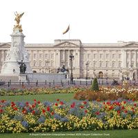 You added <b><u>Buckingham Palace and Clermont Charing Cross Afternoon Tea</u></b> to your cart.
