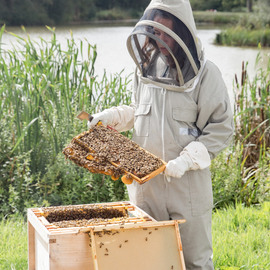 Hiver's Rural Beekeeping and Beer Tasting