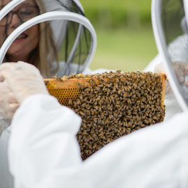 Hiver's Rural Beekeeping and Beer Tasting