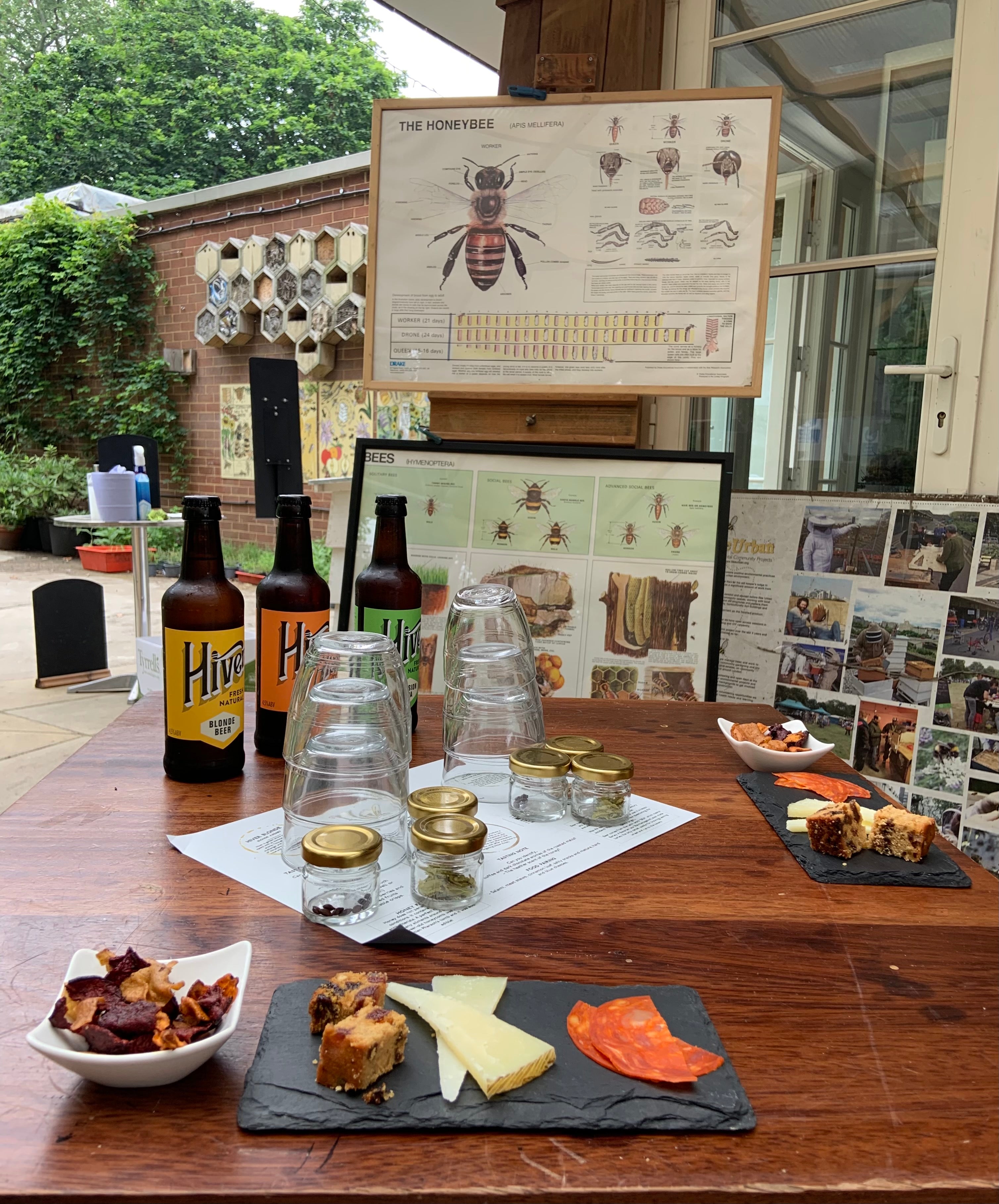 Hiver's Rural Beekeeping and Beer Tasting