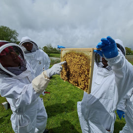 Hiver's Rural Beekeeping and Beer Tasting