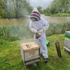 Hiver's Rural Beekeeping and Beer Tasting