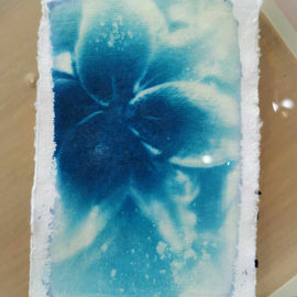 Cyanotype Print Making Workshop, Manchester