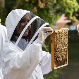 Beekeeping and Beers