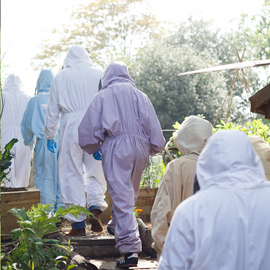 Beekeeping and Beers