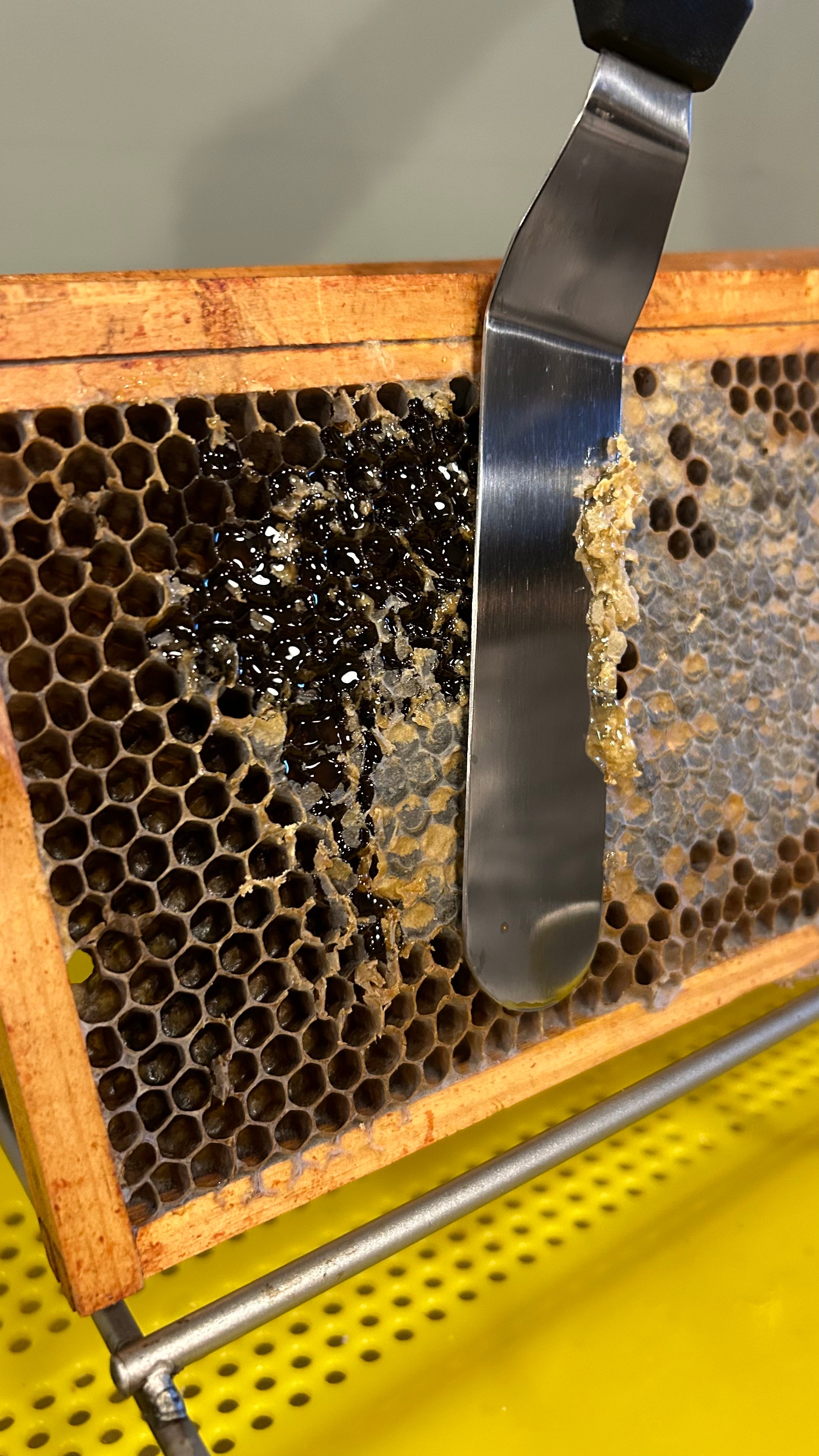 Jar your own Honey