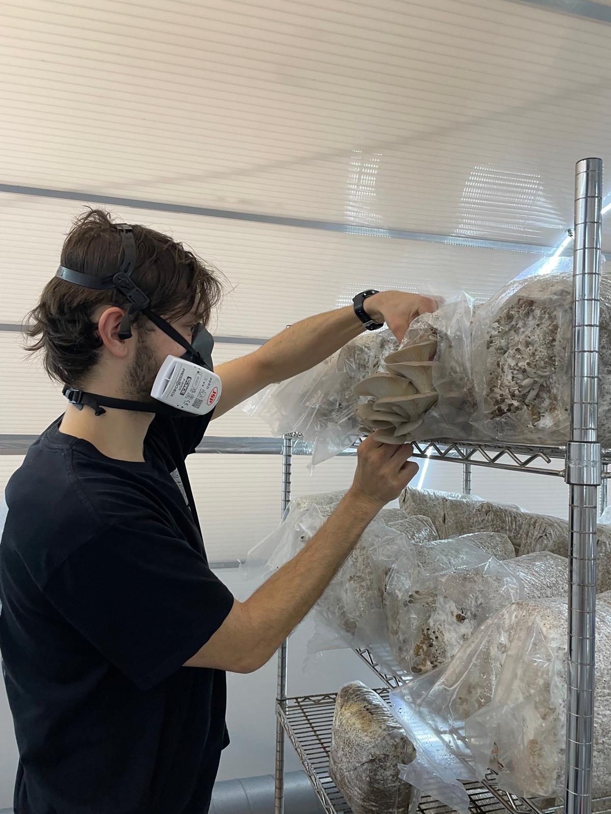 The Yorkshire Mushroom Emporium Experience