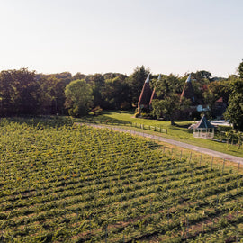 Oastbrook Vineyard or Winery Tour and Tasting