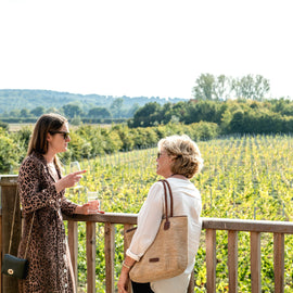 Luxury Under the Stars with Breakfast, Wine Tasting and Tour