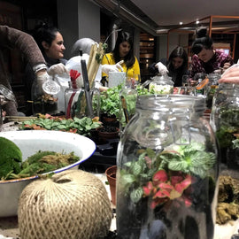 Private Terrarium Design School in Margate