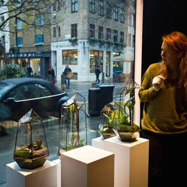 Private Terrarium Design School in Margate