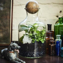 Private Terrarium Design School in Margate