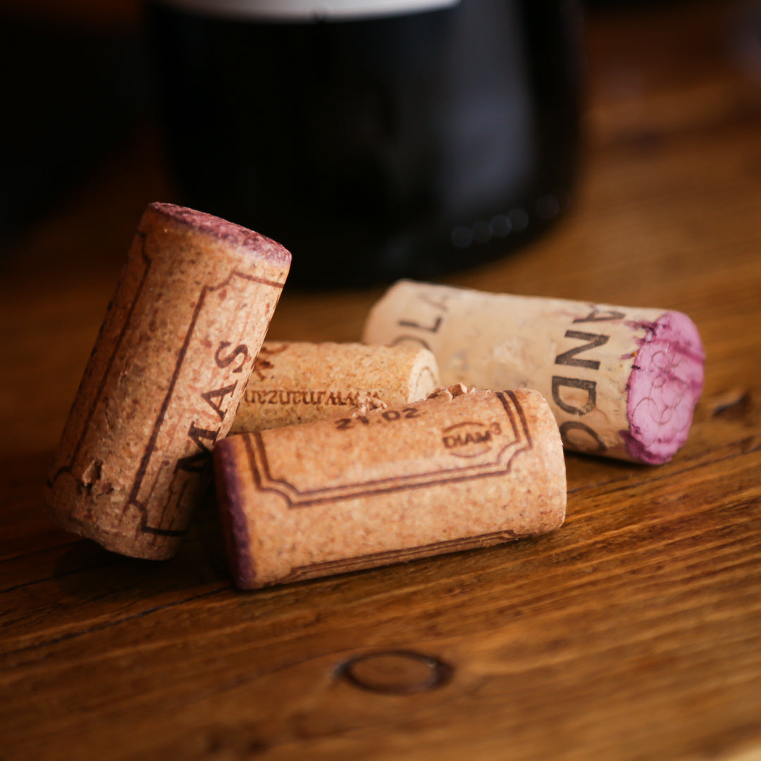 Vegan Wine Tasting Experience in Brighton