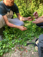 You added <b><u>Introduction to Foraging (Brighton)</u></b> to your cart.