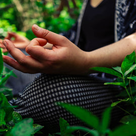 Yoga and Forest Bathing (Brighton)