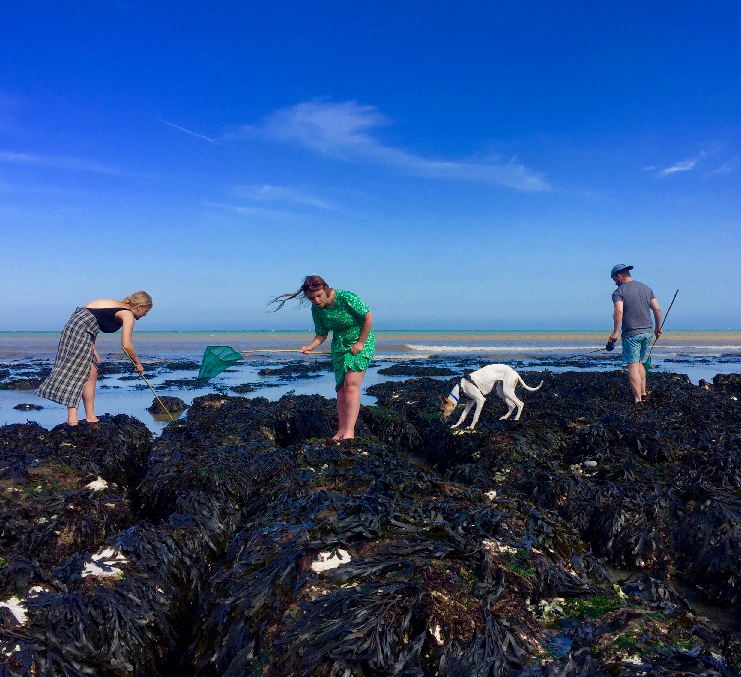 Coastal Foraging & Feasting
