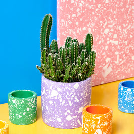 At Home: Terrazzo Plant Pot Kit - out of stock