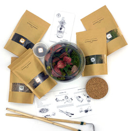 Gift It: Terrarium Kit + 1-2-1 Workshop
