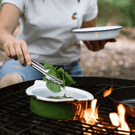 Foraging and Cooking over Fire