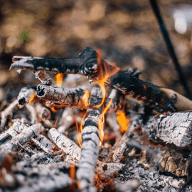 Foraging and Cooking over Fire