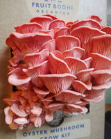 You added <b><u>At Home: Mushroom Kit</u></b> to your cart.