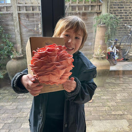 At Home: Mushroom Kit