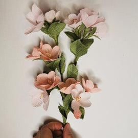At Home: Hello Petals