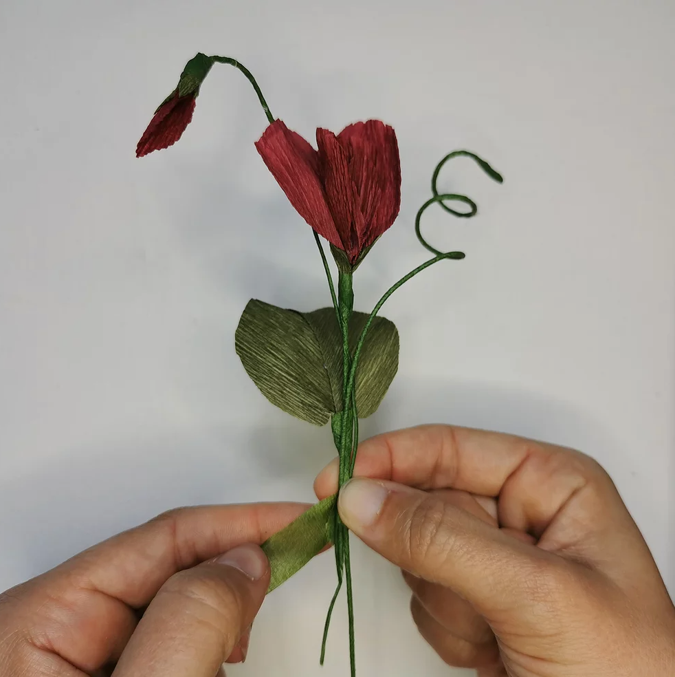Creative gifts, make your own delicate paper flowers