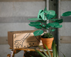 You added <b><u>At Home: Your Paper Jungle</u></b> to your cart.