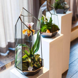 PRIVATE: Terrarium Design School for Two