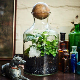 PRIVATE: Terrarium Design School