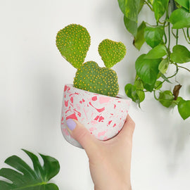 At Home: Terrazzo Plant Pot Kit - out of stock